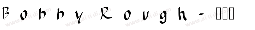 Bobby Rough字体转换